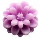 dscn2133b