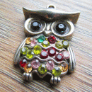Bedeltje uiltje met strass