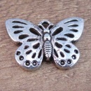 Bedel vlinder