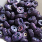 Kokos kraal disc paars