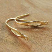 RVS luxe oorhaken goudkleurig