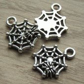 Bedeltje spin in web