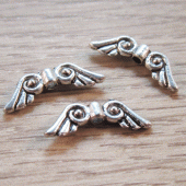 Vleugeltje klein kraal