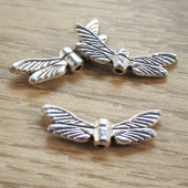 Kraal vleugels insect