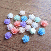 Klein plaksteentje bloemetje