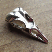 Bedel kraaienschedel