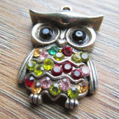 Bedeltje uiltje met strass