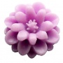 dscn2133b