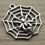 Bedel spin in web