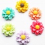 vrolijke bloem 513338c5eb04